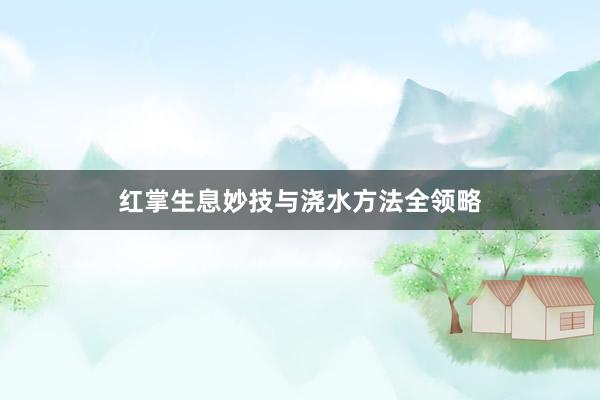 红掌生息妙技与浇水方法全领略